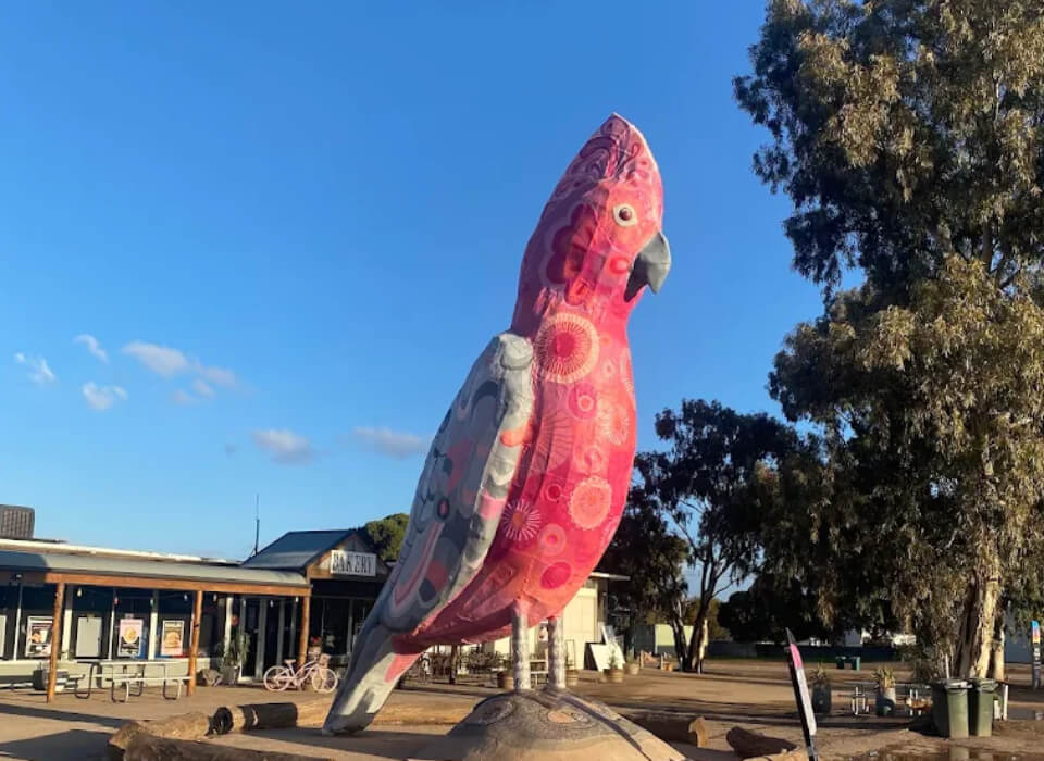 banner-bird-side-image