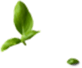 banner-pizza-section-floating-images-1